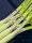 HEAD - Extreme PRO 2024 Tennisschläger