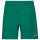 HEAD - CLUB Shorts Herren (verschiedene Farben)