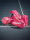 HEAD - Base Backpack 17L Pink